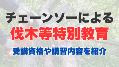 チェーンソーによる伐木等特別教育とは？受講資格や講習内容、講習方法まで紹介