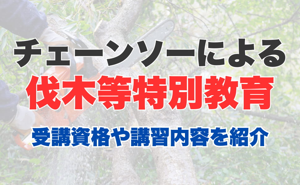 チェーンソーによる伐木等特別教育とは？受講資格や講習内容、講習方法まで紹介