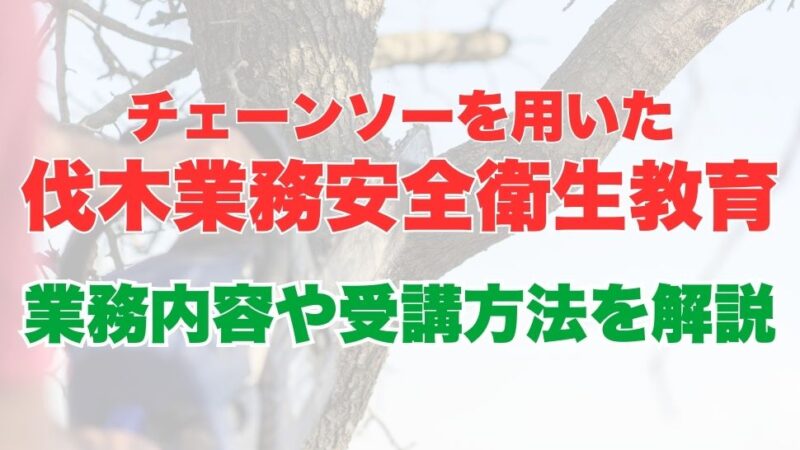 チェーンソーを用いた伐木業務安全衛生教育とは？業務内容、受講方法について解説